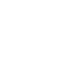 light logo